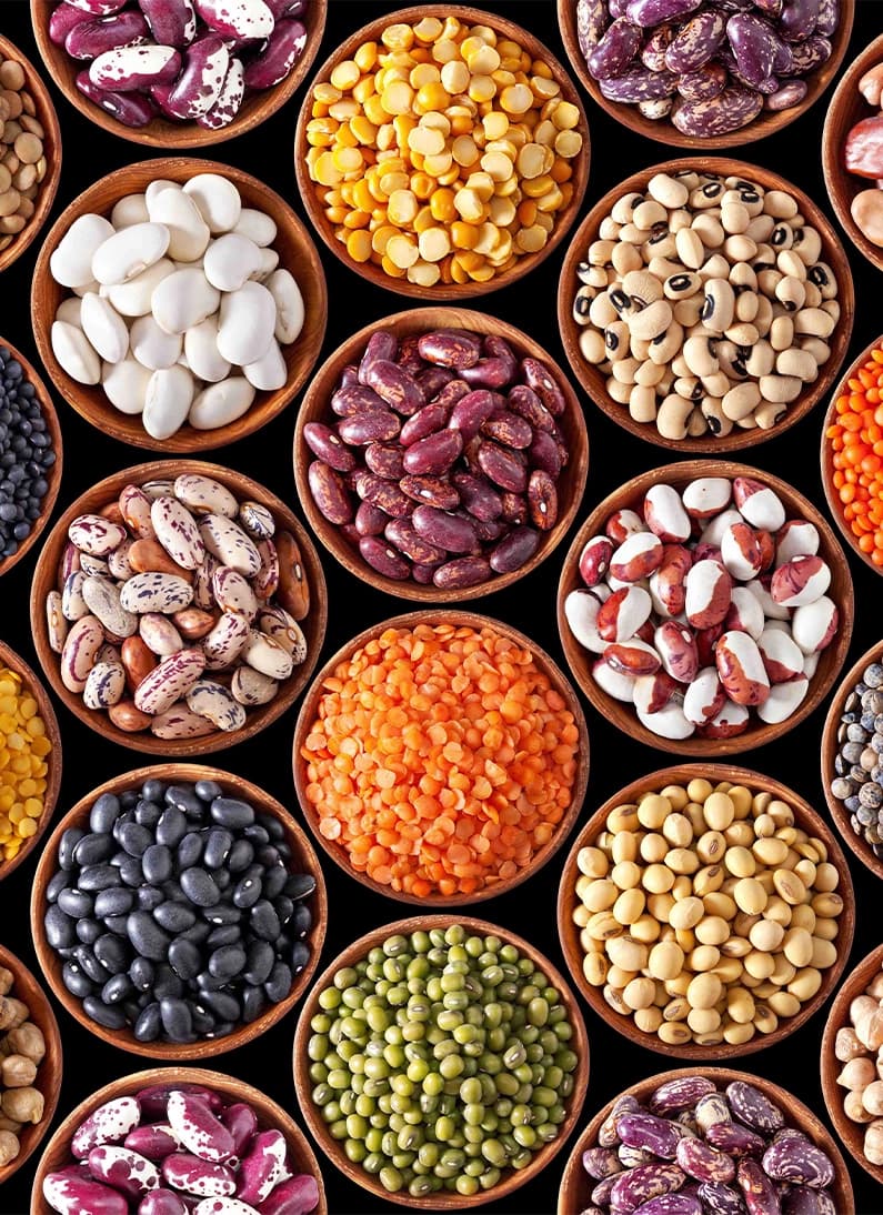 Beans